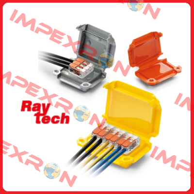 Raytech