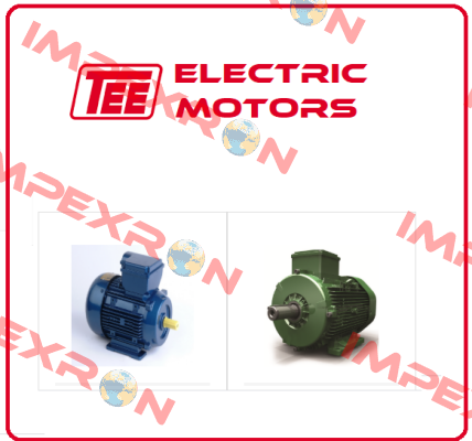 TEE Electric Motors