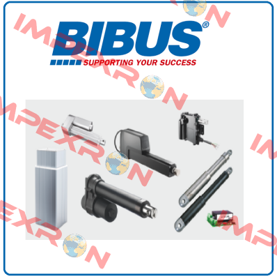 Bibus