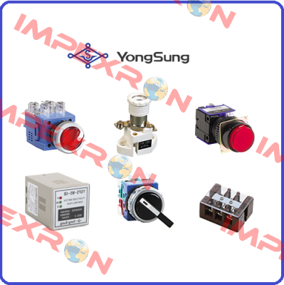 YongSung Electric