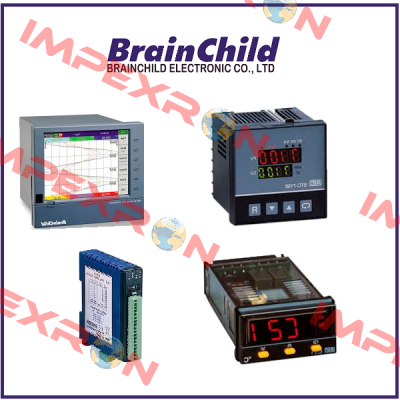 Brainchild Electronic