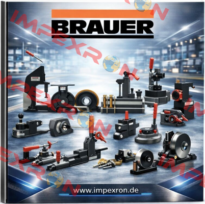 Brauer