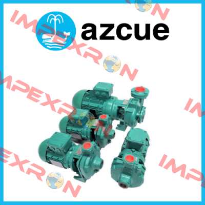 Azcue Pumps
