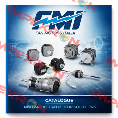 FMI (Fan Motors Italia)