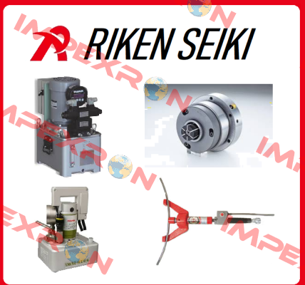Riken Seiki