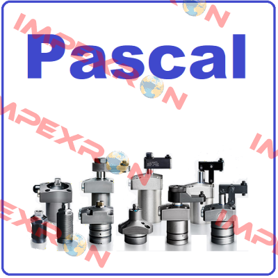 Pascal