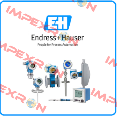 Endress Hauser