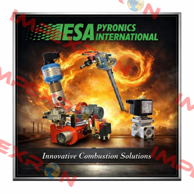 ESA Pyronics International