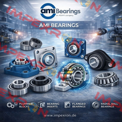 AMI BEARINGS