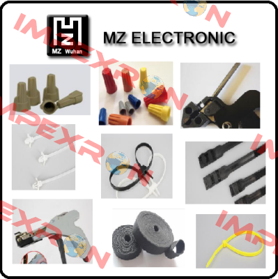 MZ electronic